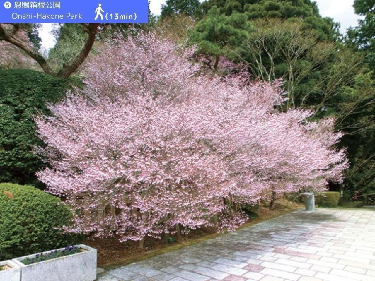 Yoichi Inn Хаконе Экстерьер фото